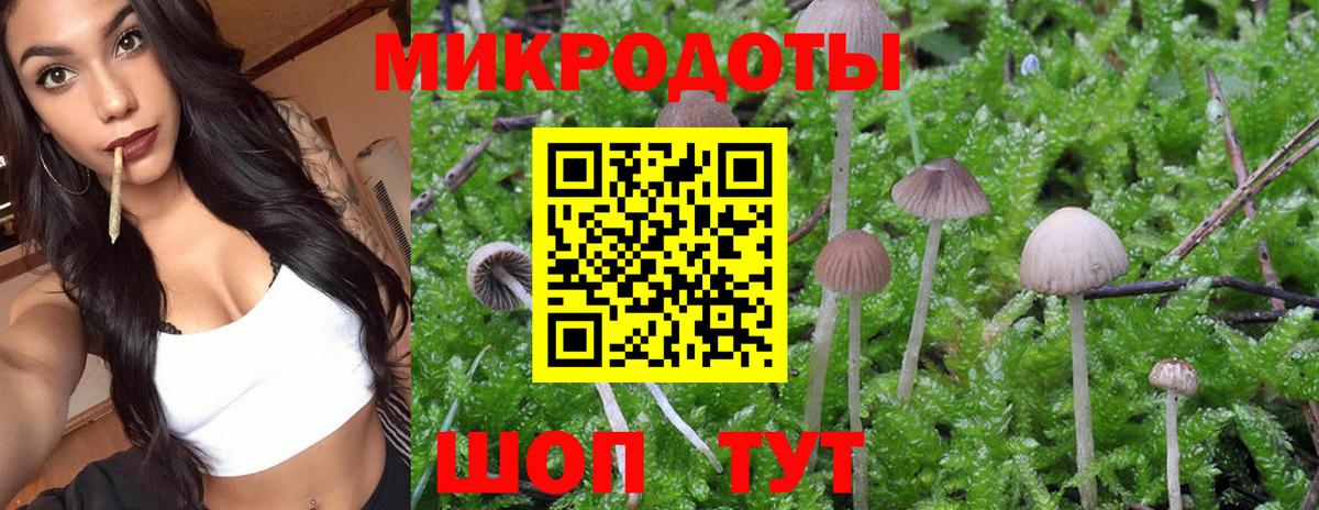 Псилоцибиновые грибы MAGIC MUSHROOMS  Вход с VPN  Котлас 